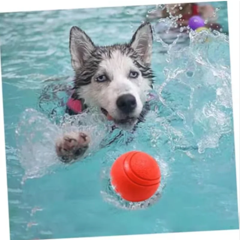 Kauball aus Gummi für Hund und Katze – Bild 6