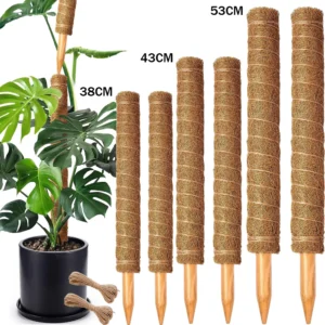 Moosstab für Monstera und Kletterpflanzen