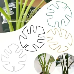 Pflanzenhalter für Monstera und Blumen