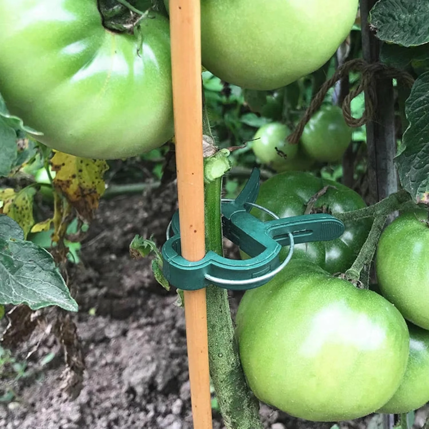 Pflanzenclips für den Garten, wiederverwendbar, 100 Stück – Bild 3