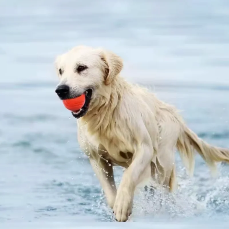 Kauball aus Gummi für Hund und Katze – Bild 5
