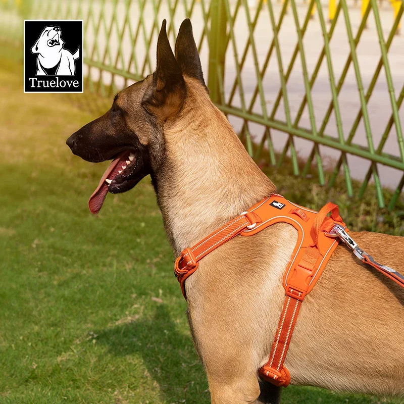 Truelove Hundegeschirr aus Nylon, verstellbar – Bild 6