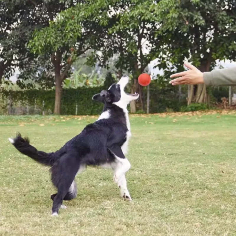 Kauball aus Gummi für Hund und Katze – Bild 4