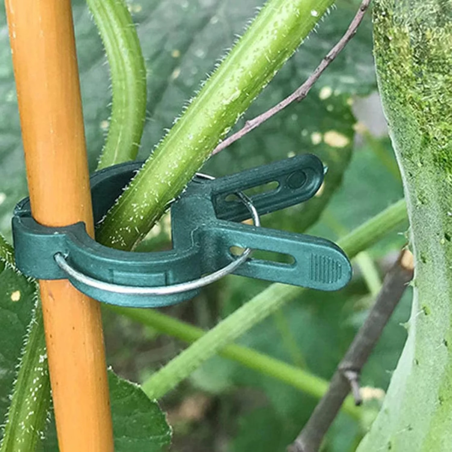 Pflanzenclips für den Garten, wiederverwendbar, 100 Stück – Bild 2